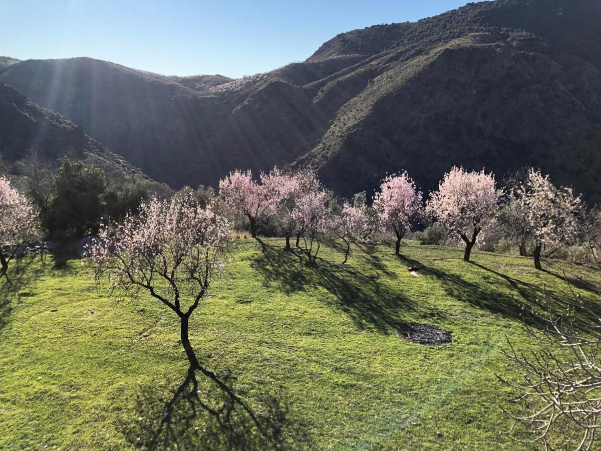 Casa Carmela, Rural House With Spectacular Views, In An Exquisite Area Villa Atalbeitar Luaran gambar