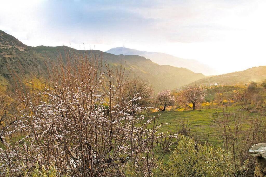 Casa Carmela, Rural House With Spectacular Views, In An Exquisite Area Villa Atalbeitar Luaran gambar