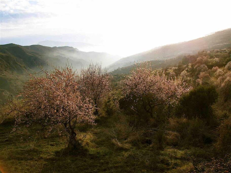 Casa Carmela, Rural House With Spectacular Views, In An Exquisite Area Villa Atalbeitar Luaran gambar